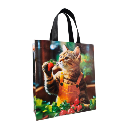 Laminated Eco-Bag "Cat with strawberries" 29 x 33 cm
