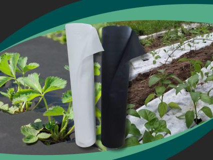 Rendpaco Eco agrofibre: environmentally friendly and safe material for a quality harvest