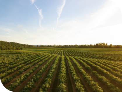 CARE FOR THE ENVIRONMENT AT RENDPACO ECO