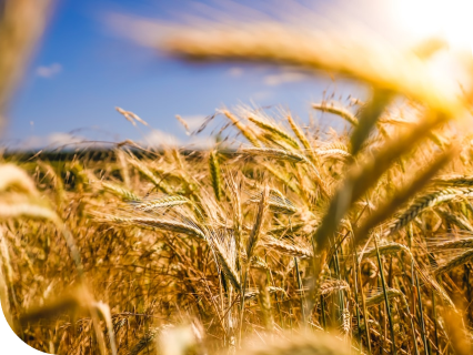 ACHIEVEMENTS OF RENDPACO ECO IN 2022